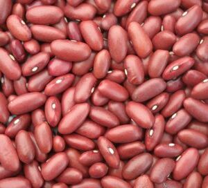 Haricot rouge