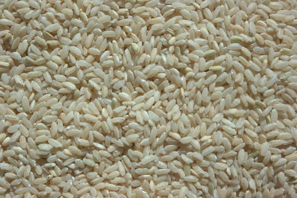 Riz complet de camargue BIO - Carvrac