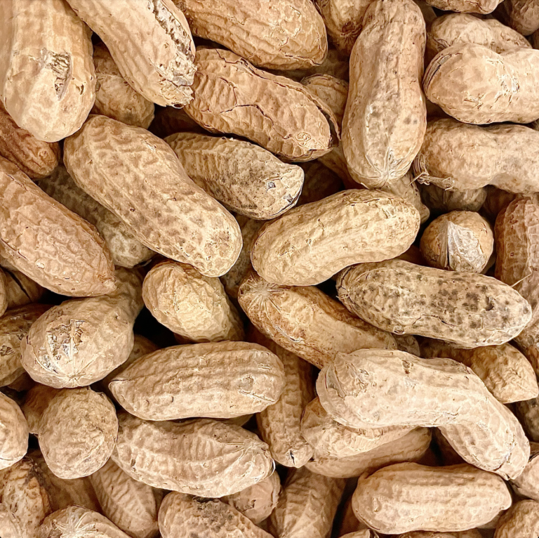 Cacahuète coque Carvrac